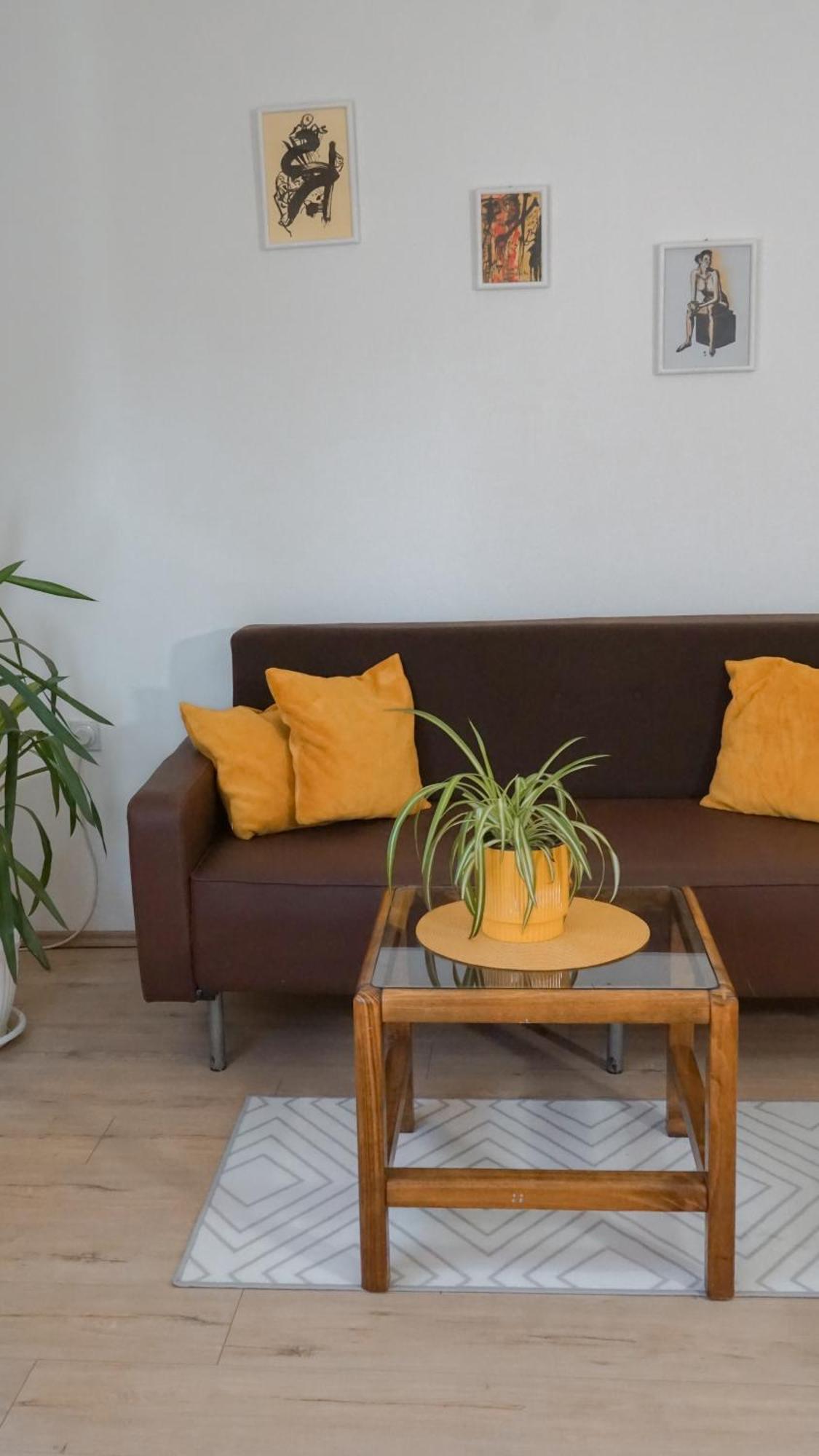 Apartmani Bubamara Leskovac Leskovac  Exterior foto